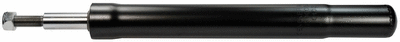 Amortizatorius DENCKERMANN DSD006O