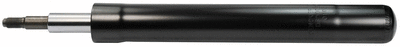 Amortizatorius DENCKERMANN DSD008O