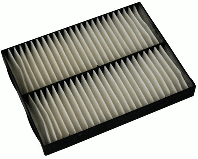 Salono filtras DENCKERMANN M110801