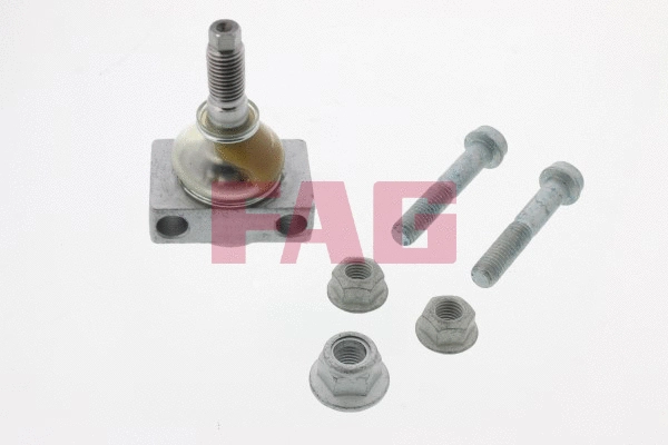 Traukės antgalis FAG 825 0093 10