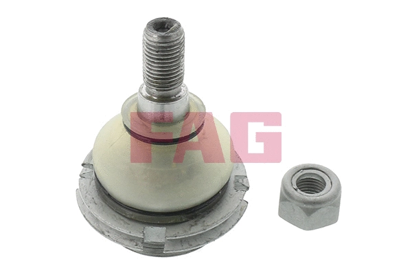 Atramos/vairo traukė FAG 825 0255 10