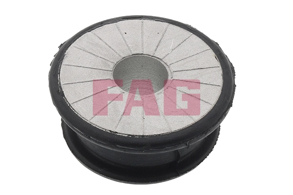 Atraminio rėmo/variklio laikiklio montavimas FAG 829 0551 10