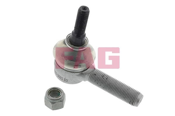 Traukės antgalis FAG 840 0691 10