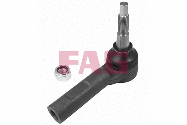 Traukės antgalis FAG 840 1134 10