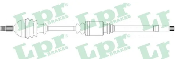 Kardaninis velenas LPR DS16081