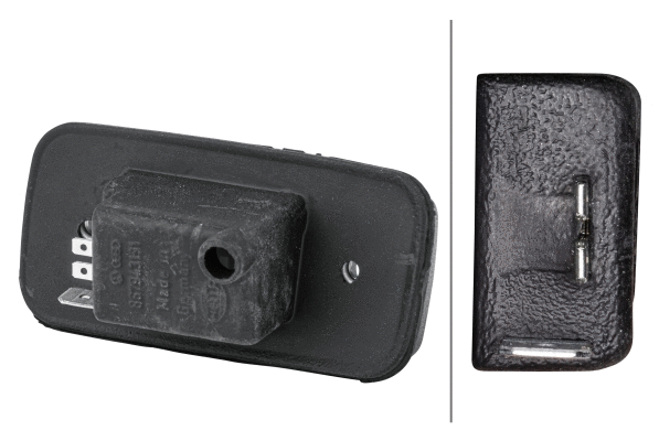 Valstybinio numerio apšvietimas HELLA 2KA 002 445-171