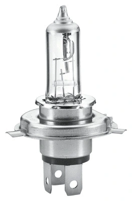 Prožektoriaus lemputė HELLA 8GJ 223 498-221