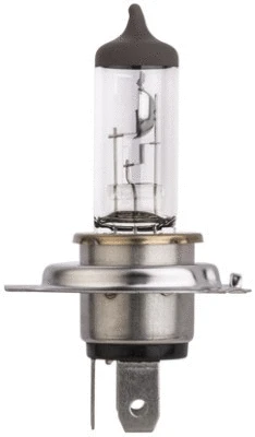 Prožektoriaus lemputė HELLA 8GJ 329 393-043