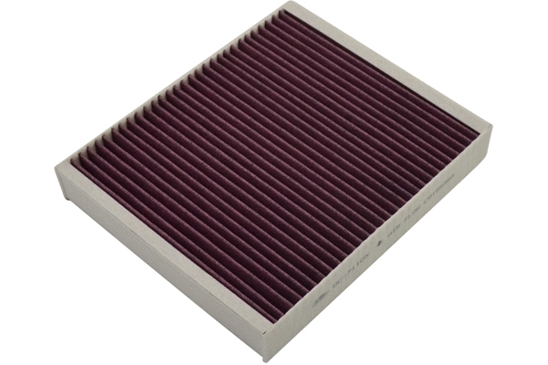Salono filtras KAVO PARTS DC-7110X