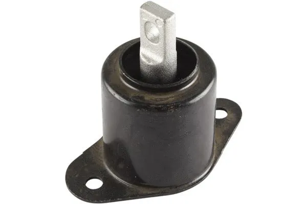 Variklio montavimas KAVO PARTS EEM-2004