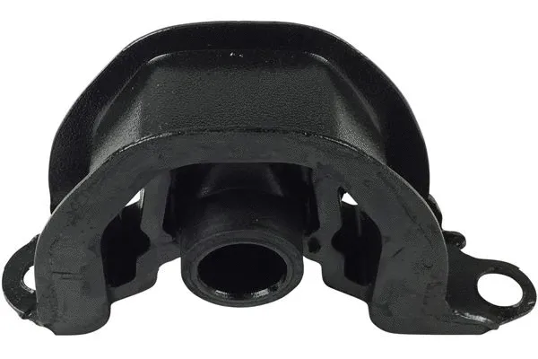 Variklio montavimas KAVO PARTS EEM-2010