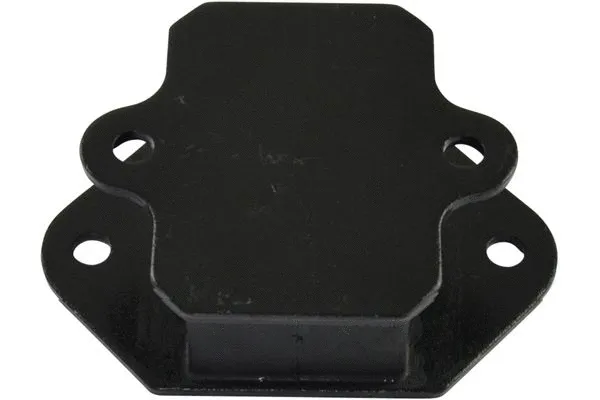 Variklio montavimas KAVO PARTS EEM-3019