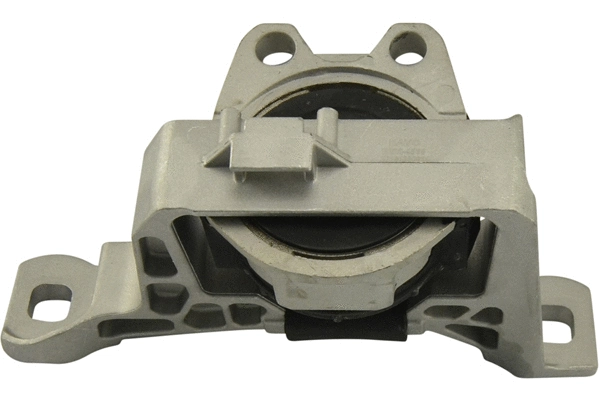 Variklio montavimas KAVO PARTS EEM-4538