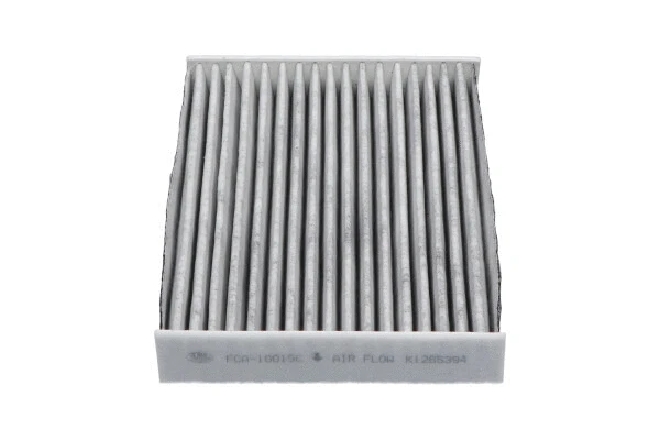 Salono filtras KAVO PARTS FCA-10015C
