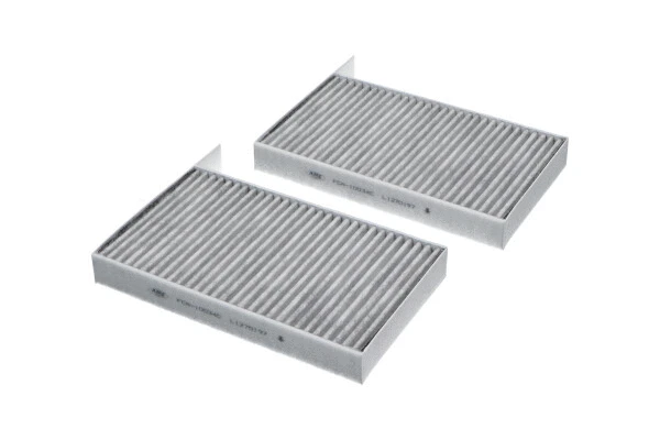Salono filtras KAVO PARTS FCA-10034C