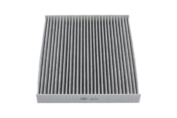 Salono filtras KAVO PARTS FCA-10040C