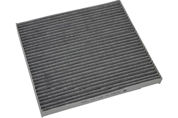 Salono filtras KAVO PARTS TC-1027C
