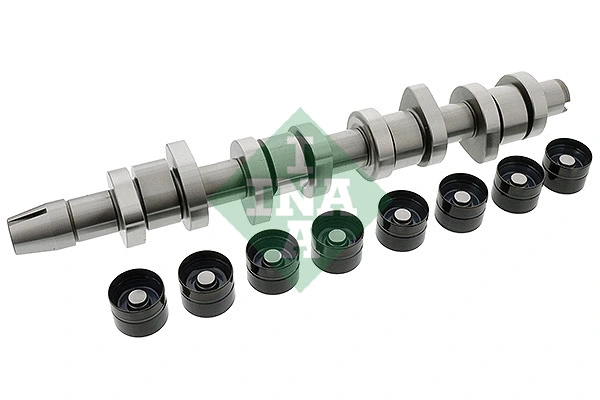 Skirstomojo veleno komplektas INA 428 0042 30