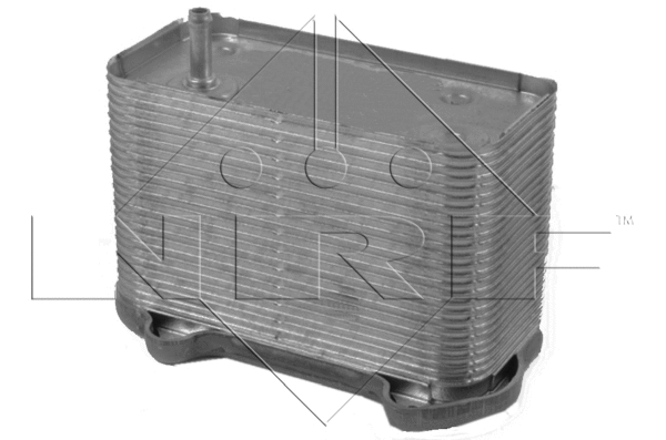 Variklio alyvos aušintuvas NRF 31291