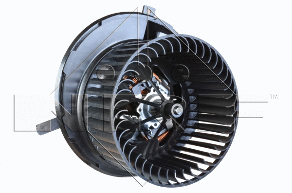 Vidaus putiklis NRF 34006