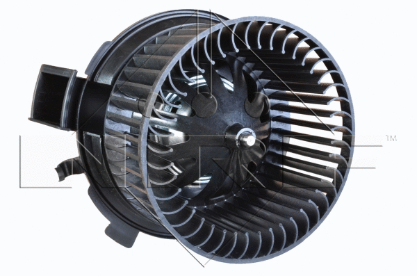 Vidaus putiklis NRF 34016
