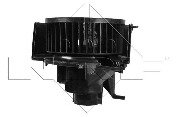 Vidaus putiklis NRF 34053