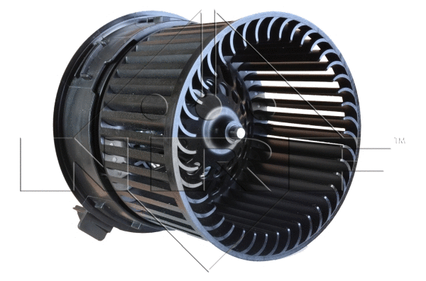 Vidaus putiklis NRF 34074