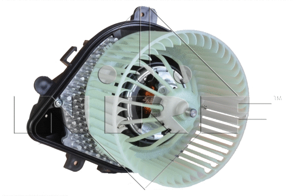 Vidaus putiklis NRF 34079