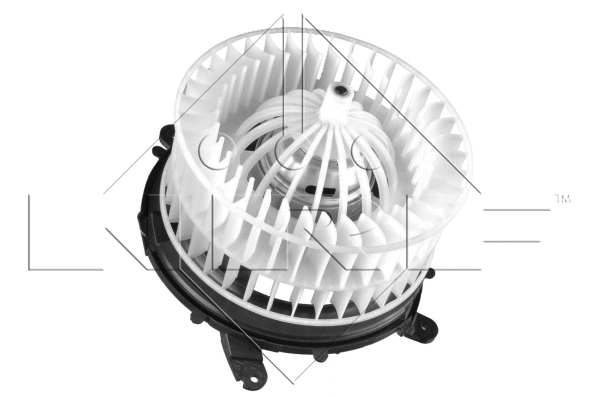 Vidaus putiklis NRF 34088