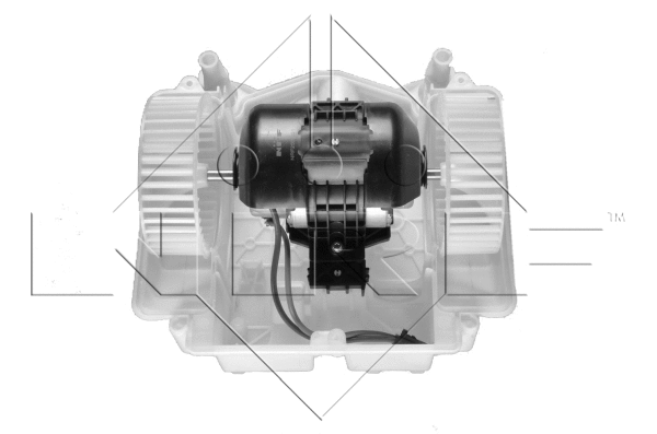 Vidaus putiklis NRF 34094