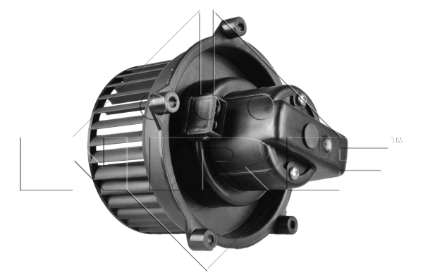 Vidaus putiklis NRF 34122