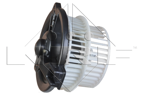 Vidaus putiklis NRF 34131