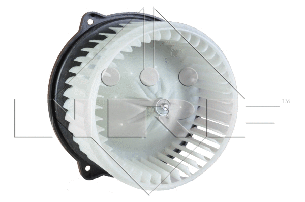 Vidaus putiklis NRF 34133