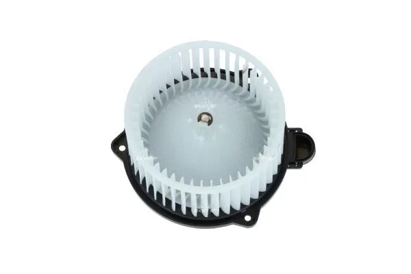 Vidaus putiklis NRF 34243