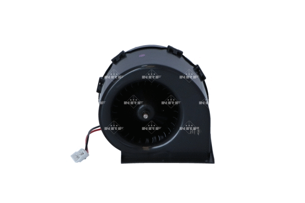 Vidaus putiklis NRF 34250