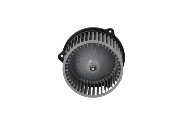 Vidaus putiklis NRF 34275