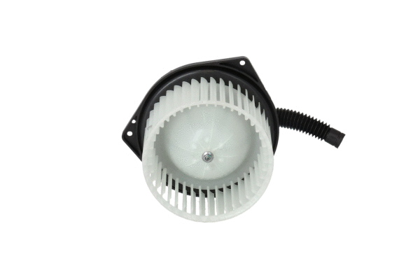 Vidaus putiklis NRF 34286