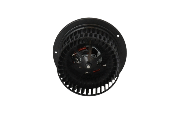 Vidaus putiklis NRF 34288