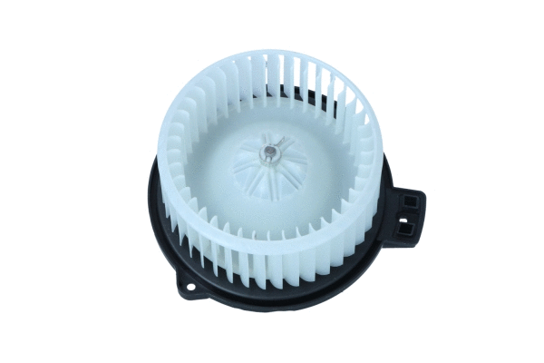 Vidaus putiklis NRF 34293