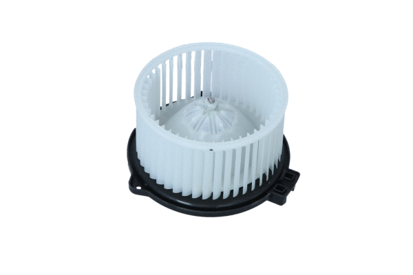 Vidaus putiklis NRF 34294