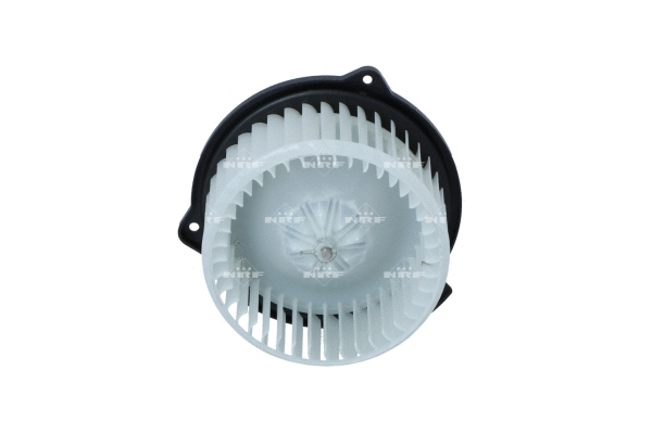 Vidaus putiklis NRF 34309