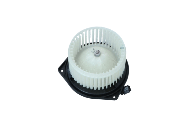 Vidaus putiklis NRF 34398