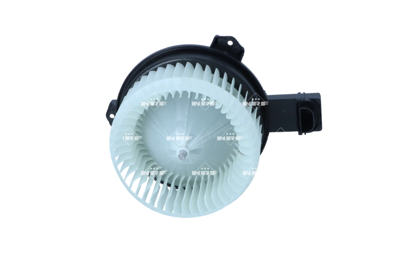 Vidaus putiklis NRF 34472