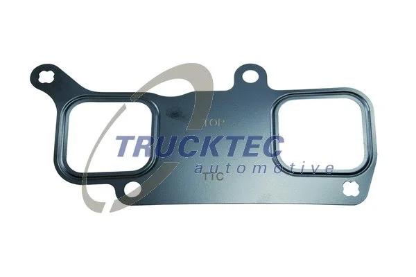 Įsiurbimo kolektoriaus tarpinė TRUCKTEC AUTOMOTIVE 01.16.097