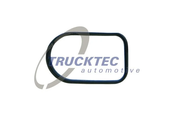 Įsiurbimo kolektoriaus tarpinė TRUCKTEC AUTOMOTIVE 02.16.051