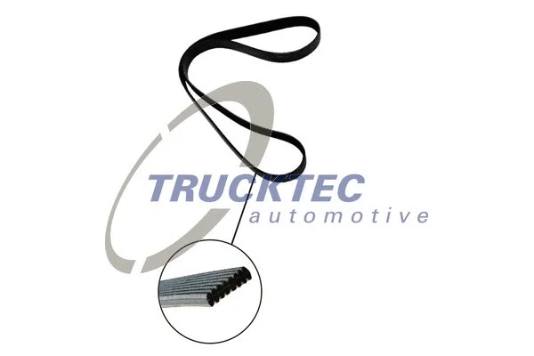 Dirželis TRUCKTEC AUTOMOTIVE 07.19.135