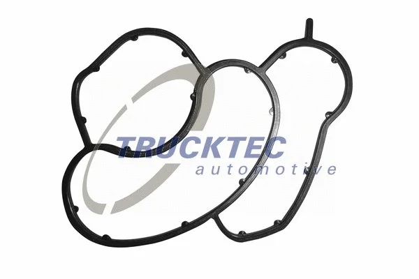 Alyvos filtro korpuso tarpinė TRUCKTEC AUTOMOTIVE 08.10.054