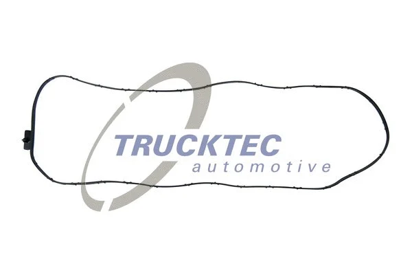 Automatinės pavarų dėžės alyvos karterio tarpinė TRUCKTEC AUTOMOTIVE 08.25.019