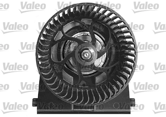 Vidaus putiklis VALEO 698262