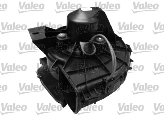Vidaus putiklis VALEO 698564